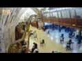 Webcam Gerusalemme