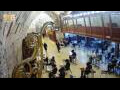Webcam Jerusalem
