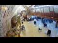 Webcam Jerusalem