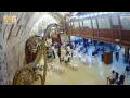 Webcam Jerusalem