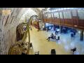 Webcam Jerusalem