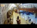 Webcam Jerusalem