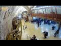 Webcam Jerusalem