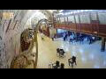 Webcam Gerusalemme