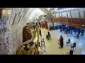 Webcam Jerusalem