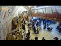 Webcam Gerusalemme