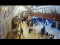 Webcam Gerusalemme