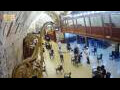 Webcam Jerusalem