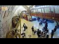 Webcam Jerusalem