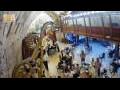 Webcam Gerusalemme