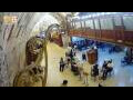 Webcam Gerusalemme