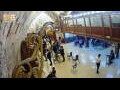 Webcam Gerusalemme