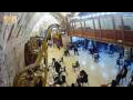Webcam Gerusalemme