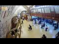 Webcam Gerusalemme