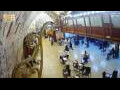 Webcam Gerusalemme