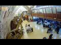 Webcam Gerusalemme
