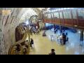 Webcam Gerusalemme