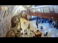 Webcam Jerusalem