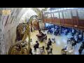 Webcam Jerusalem