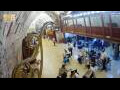 Webcam Jerusalem