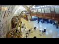 Webcam Jerusalem