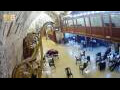 Webcam Jerusalem
