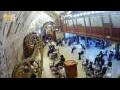 Webcam Jerusalem