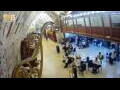 Webcam Jerusalem