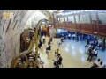 Webcam Jerusalem