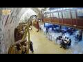 Webcam Jerusalem