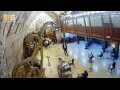 Webcam Gerusalemme