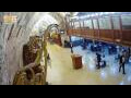 Webcam Gerusalemme