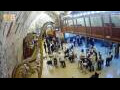 Webcam Gerusalemme
