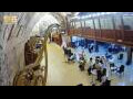 Webcam Jerusalem