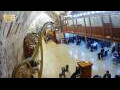 Webcam Jerusalem