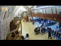 Webcam Jerusalem