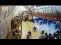 Webcam Gerusalemme