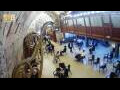 Webcam Jerusalem