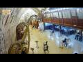Webcam Jerusalem