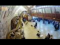 Webcam Jerusalem