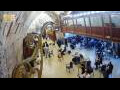 Webcam Gerusalemme