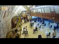 Webcam Jerusalem