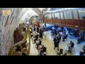 Webcam Jerusalem