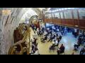 Webcam Jerusalem