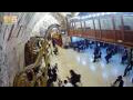 Webcam Jerusalem