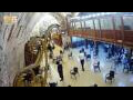 Webcam Jerusalem