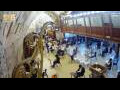 Webcam Jerusalem