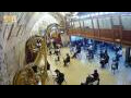 Webcam Jerusalem