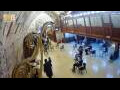 Webcam Jerusalem