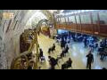 Webcam Jerusalem